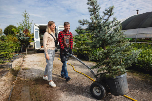 Best Tree Removal Near Me  in Pacific Grove, CA